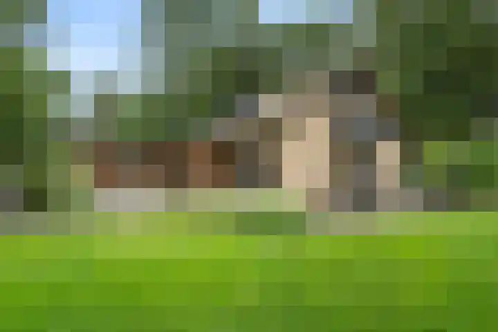 Hollandseweg 141 Wageningen thumbnail 29