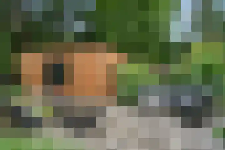 Hollandseweg 141 Wageningen thumbnail 33