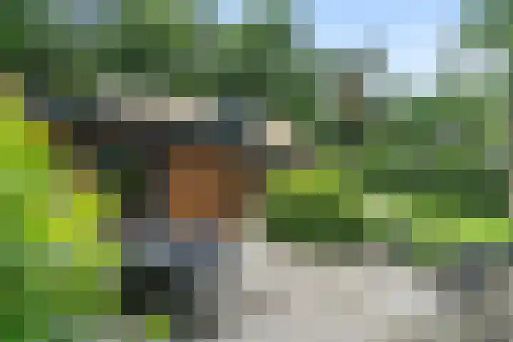 Hollandseweg 141 Wageningen thumbnail 34