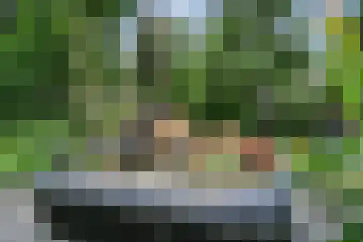Hollandseweg 141 Wageningen thumbnail 35