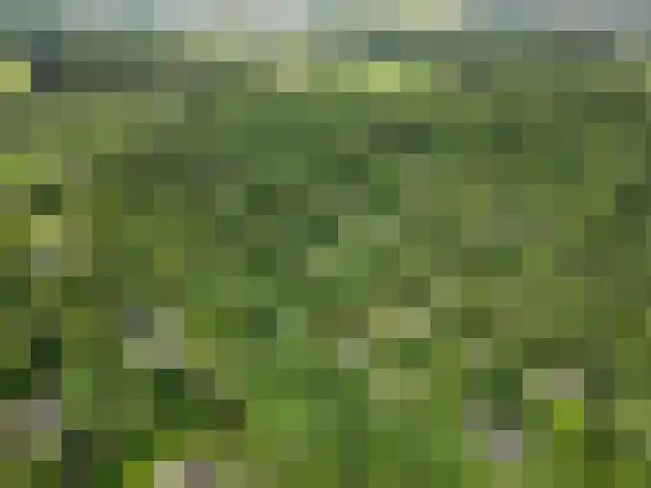 Hollandseweg 141 Wageningen thumbnail 7