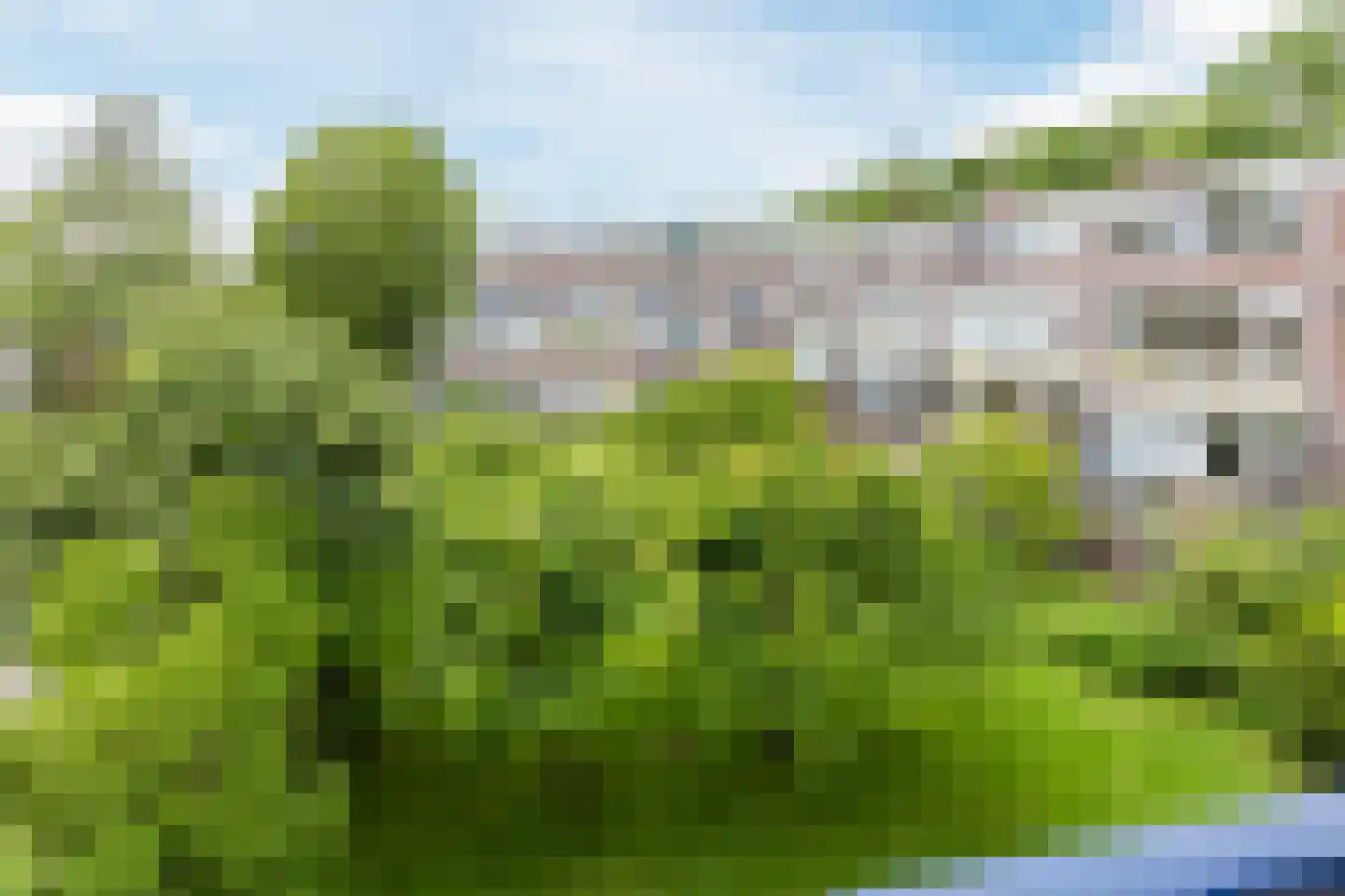 Hollandseweg 152 Wageningen thumbnail 31
