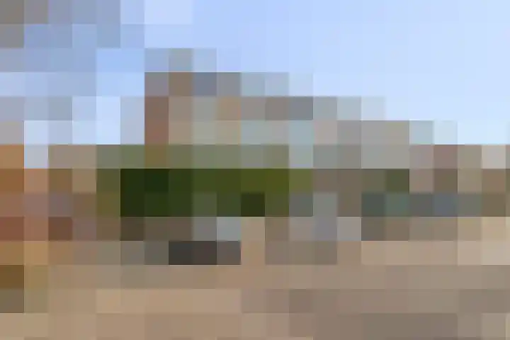 Hollandseweg 154 Wageningen thumbnail 6
