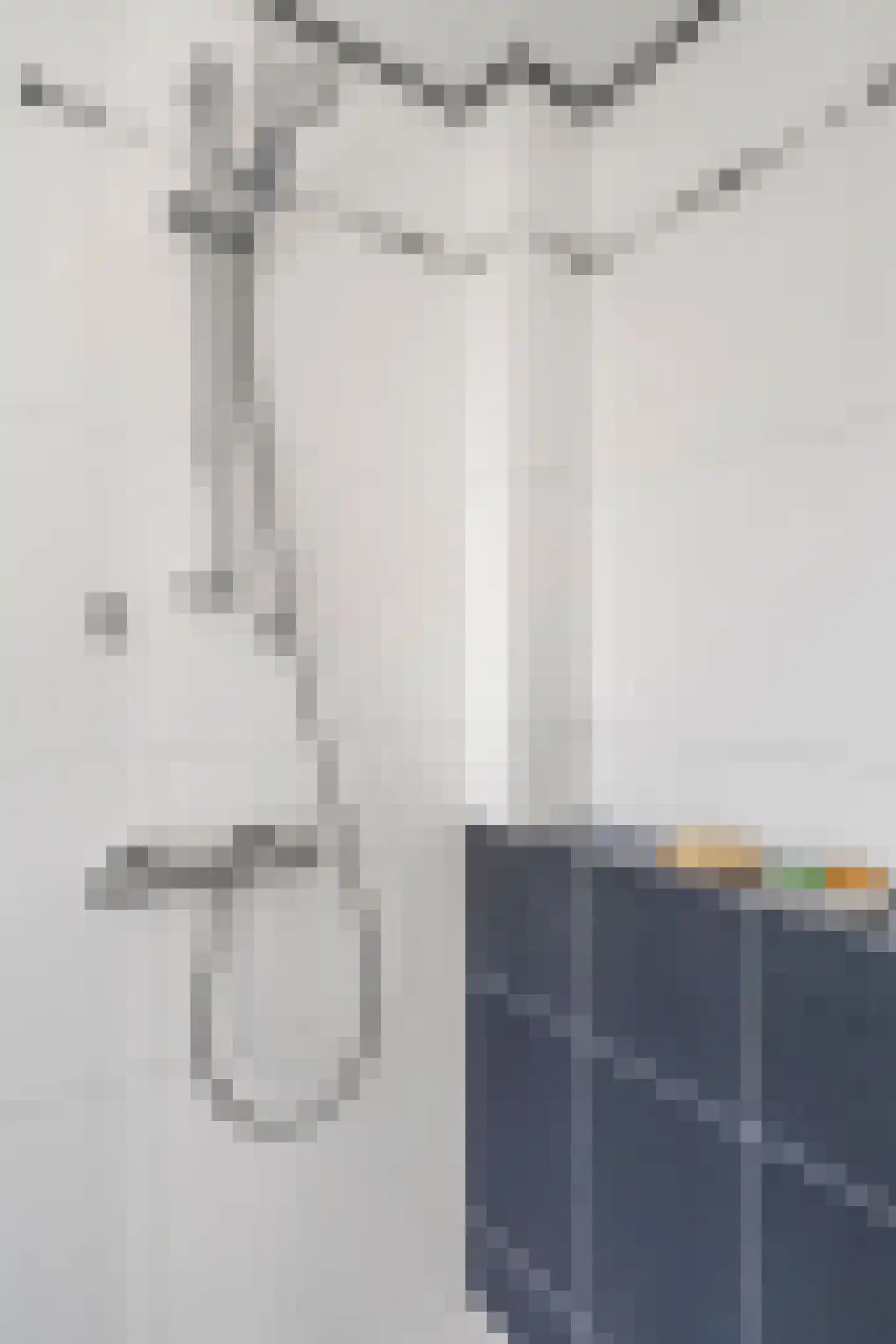 Hollandseweg 178 Wageningen thumbnail 45