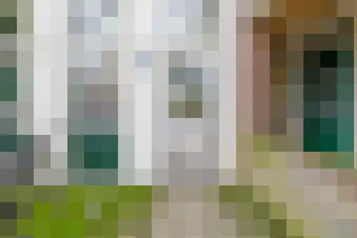 Hollandseweg 22 Wageningen thumbnail 9