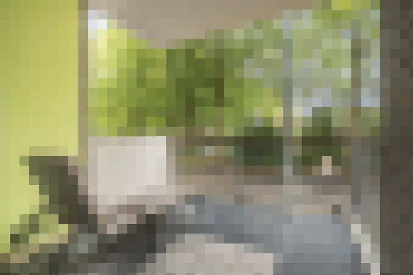 Hollandseweg 234 Wageningen thumbnail 24