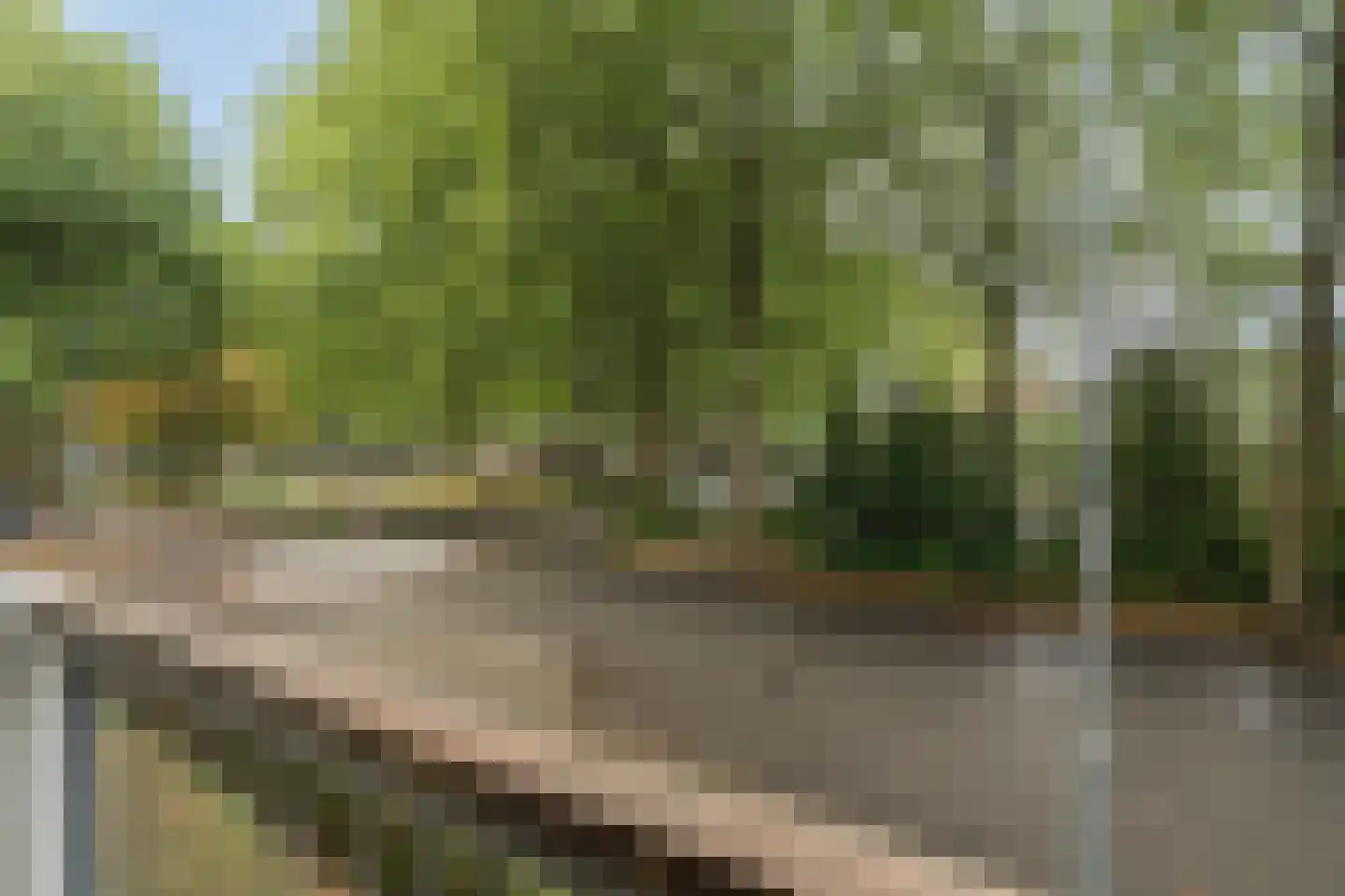 Hollandseweg 234 Wageningen thumbnail 25