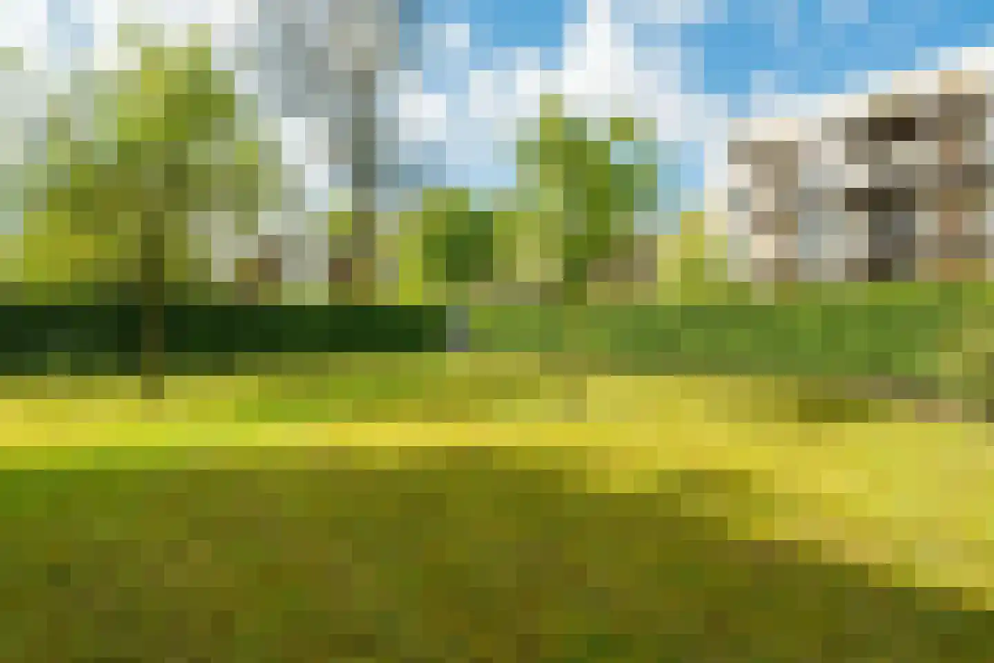 Hollandseweg 234 Wageningen thumbnail 29