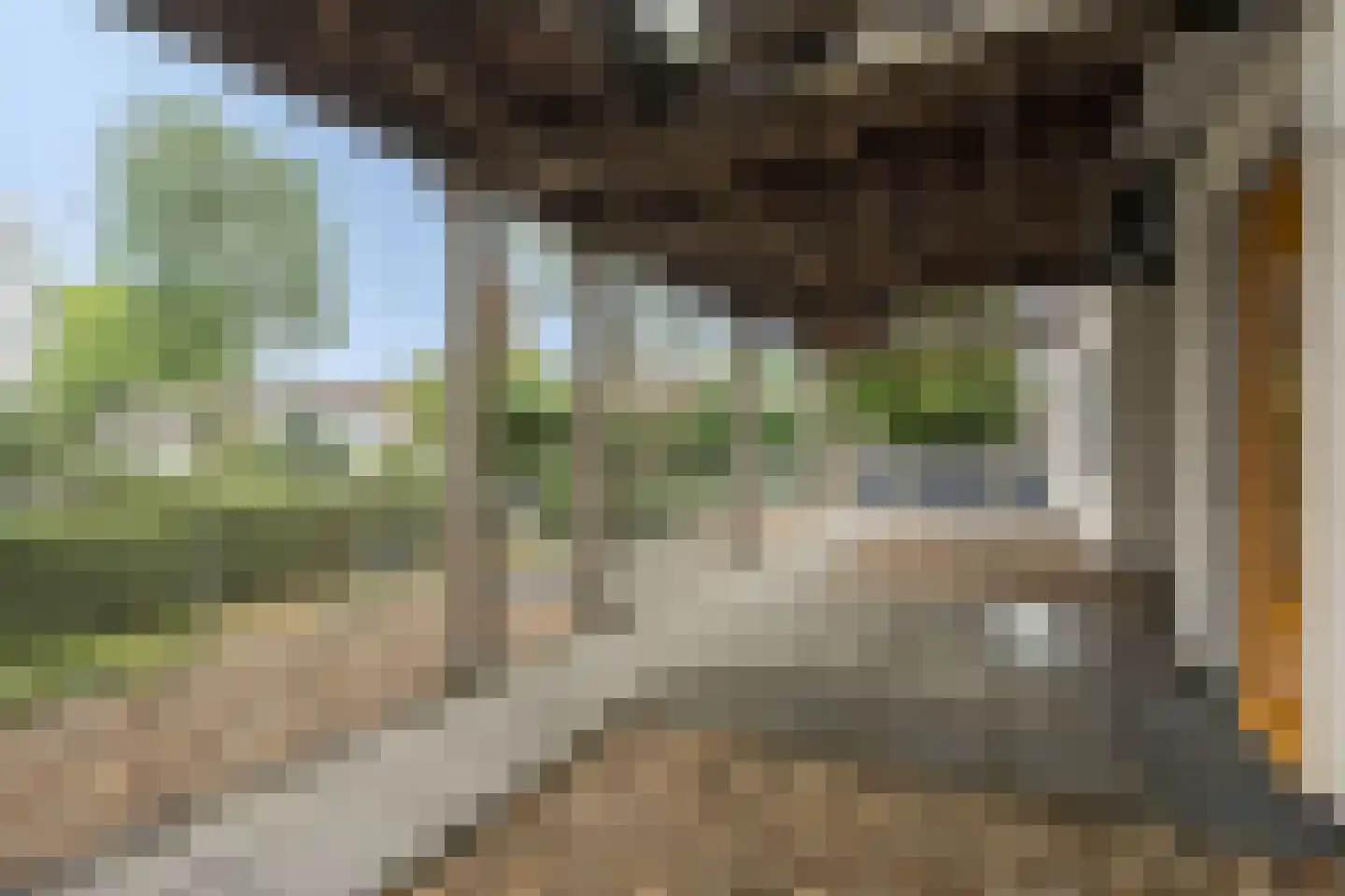 Hollandseweg 234 Wageningen thumbnail 4
