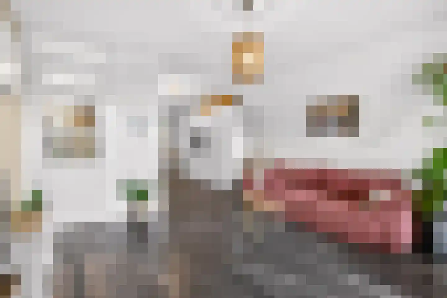 Hollandseweg 240 Wageningen thumbnail 18