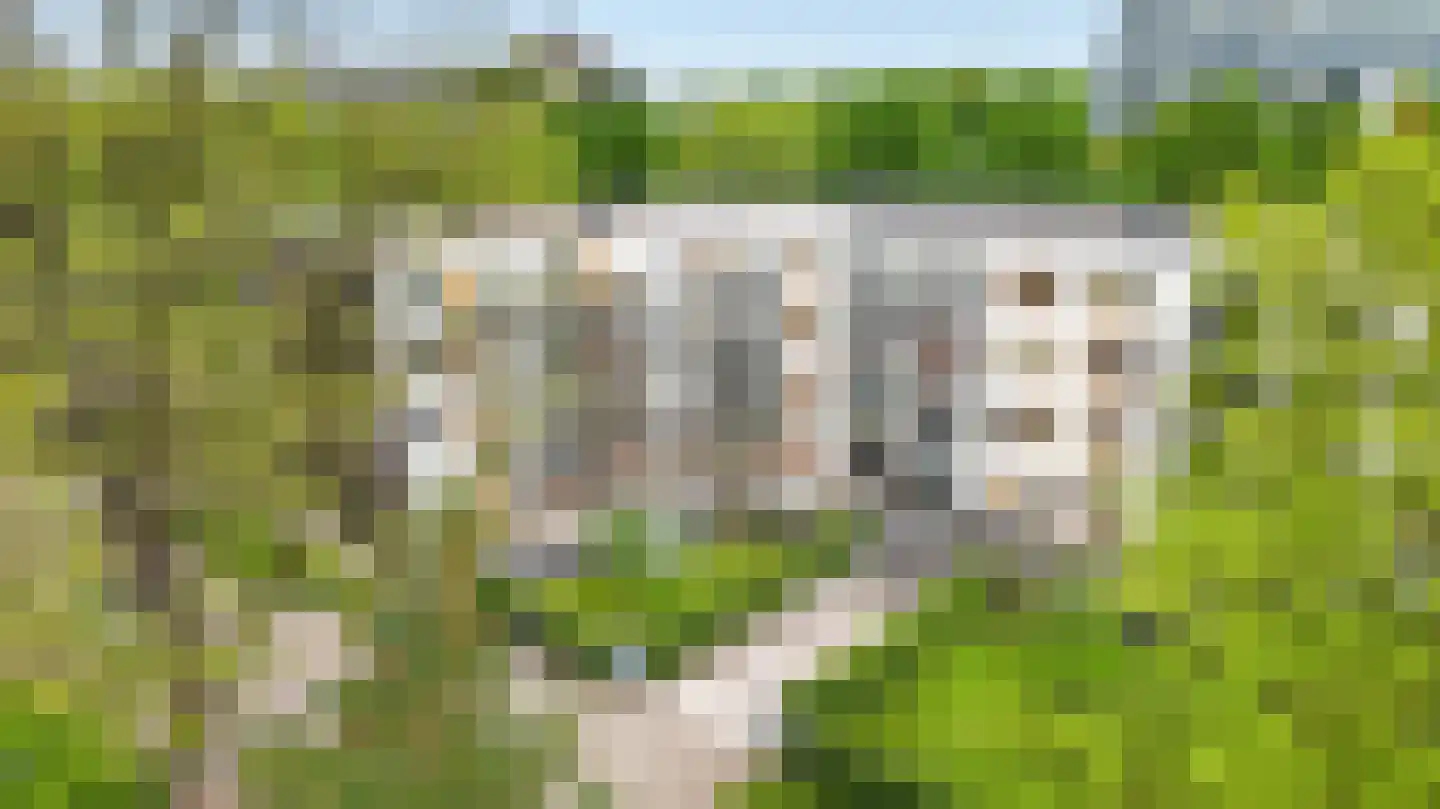 Hollandseweg 240 Wageningen thumbnail 4