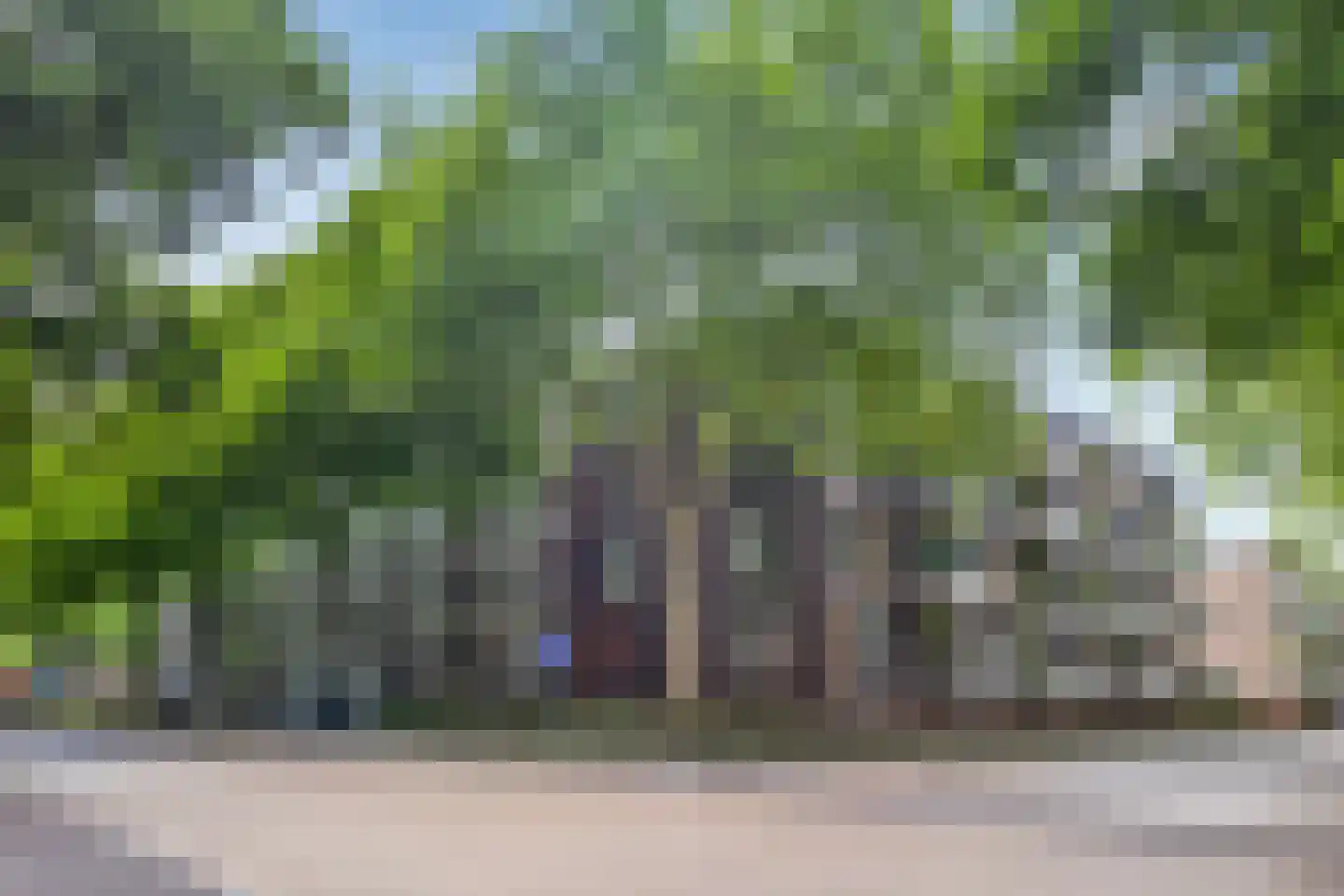 Hollandseweg 240 Wageningen thumbnail 6