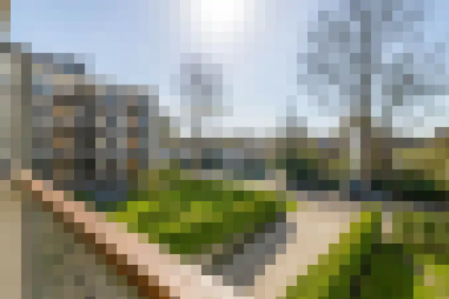 Hollandseweg 264 Wageningen thumbnail 28