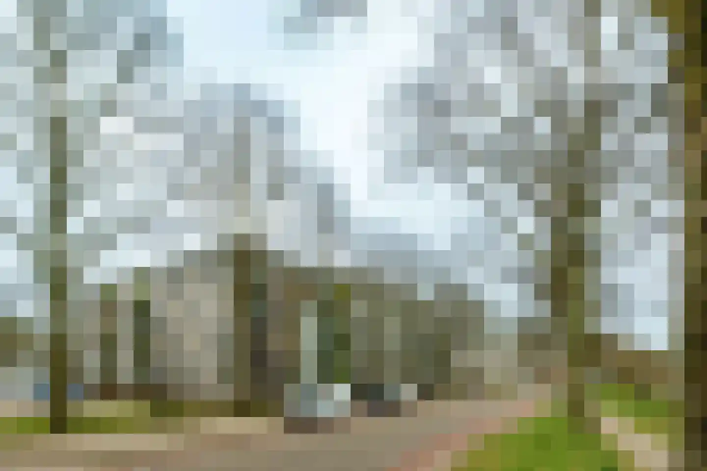 Hollandseweg 270 Wageningen thumbnail 4