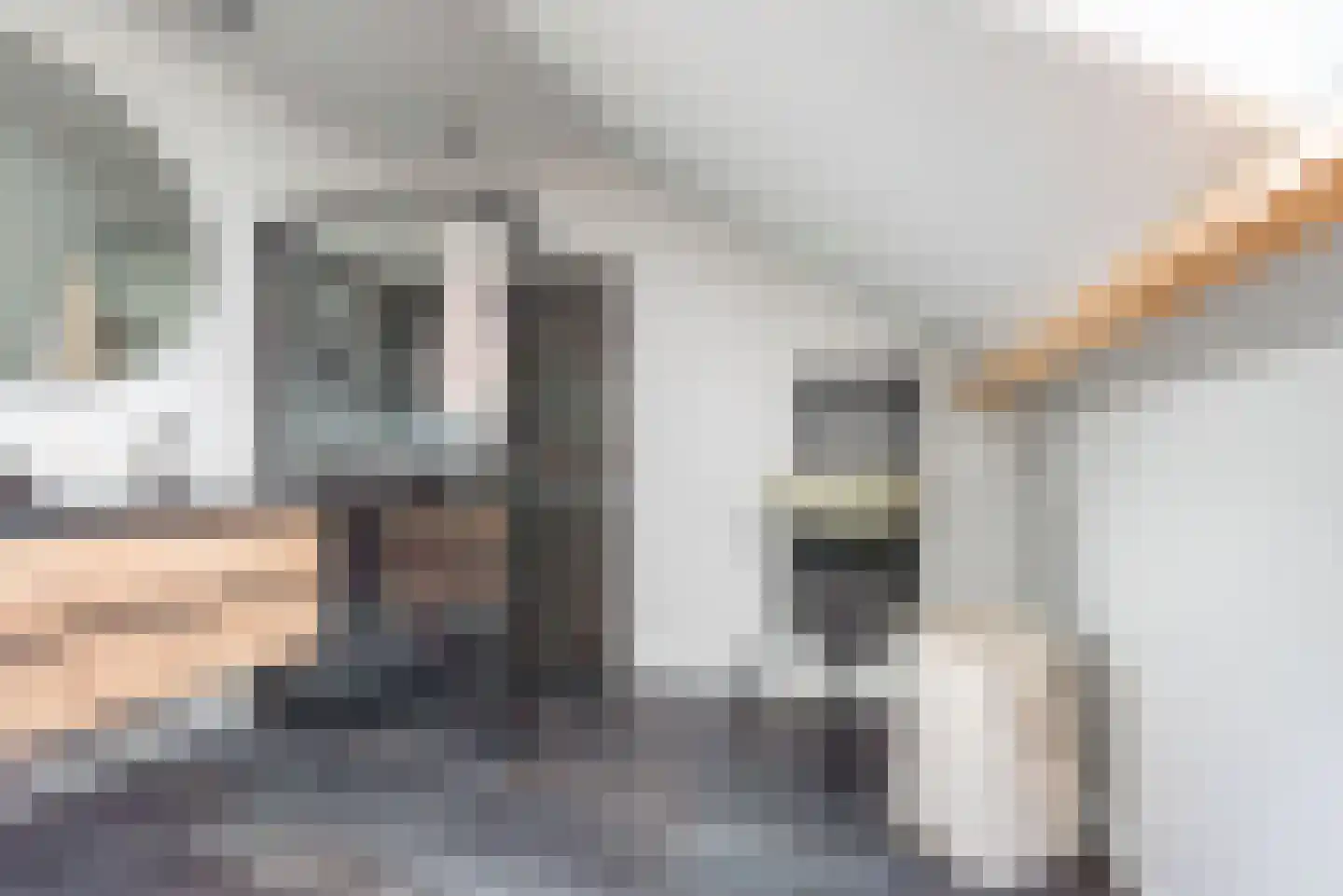 Hollandseweg 3 Megchelen thumbnail 31