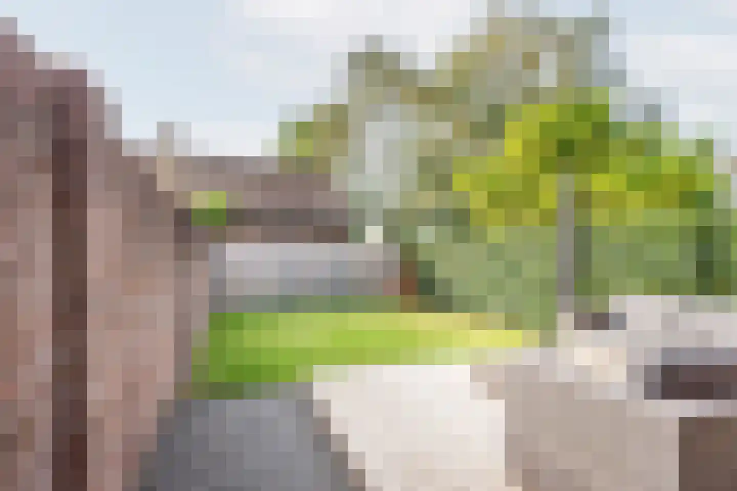 Hollandseweg 3 Megchelen thumbnail 40