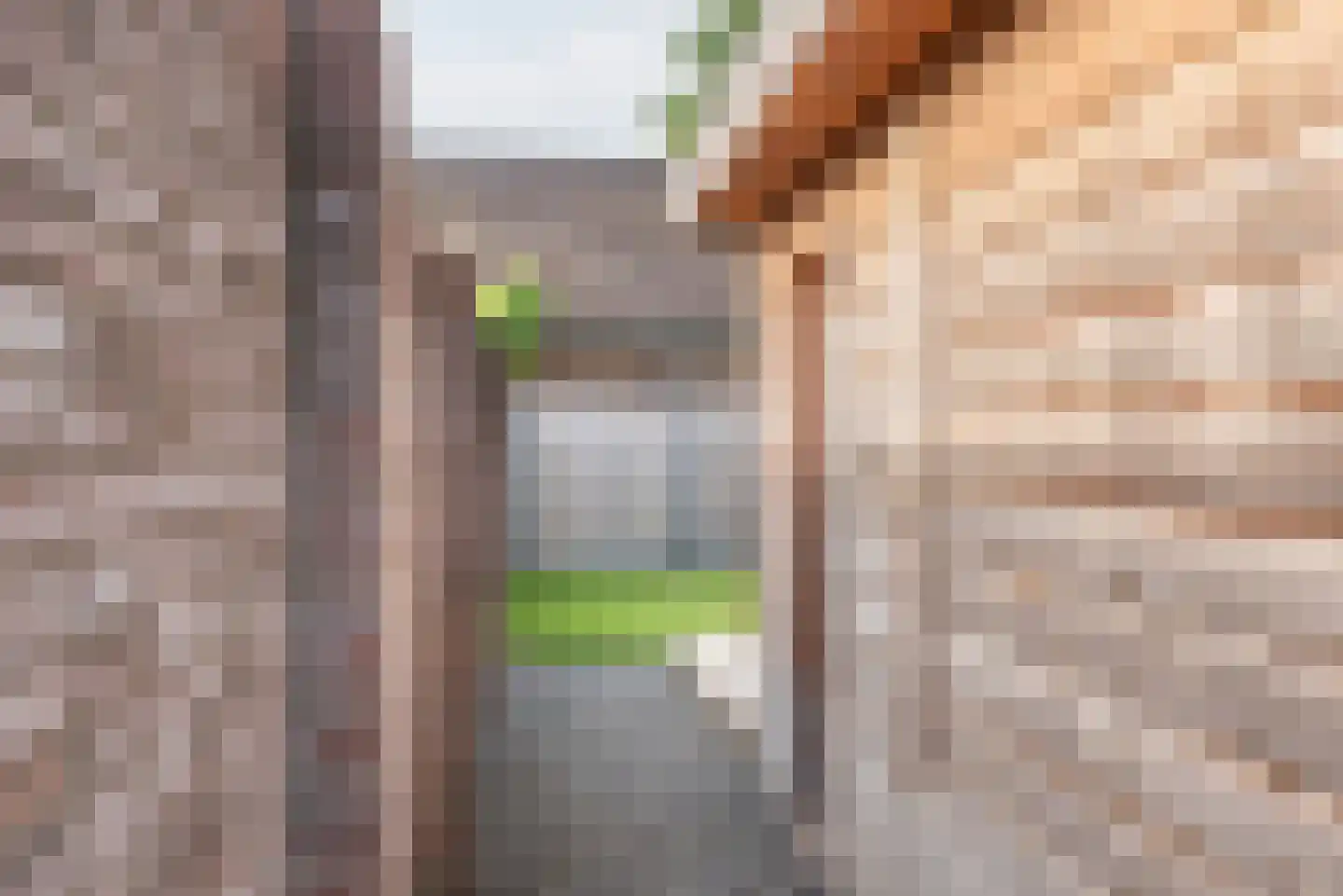 Hollandseweg 3 Megchelen thumbnail 41