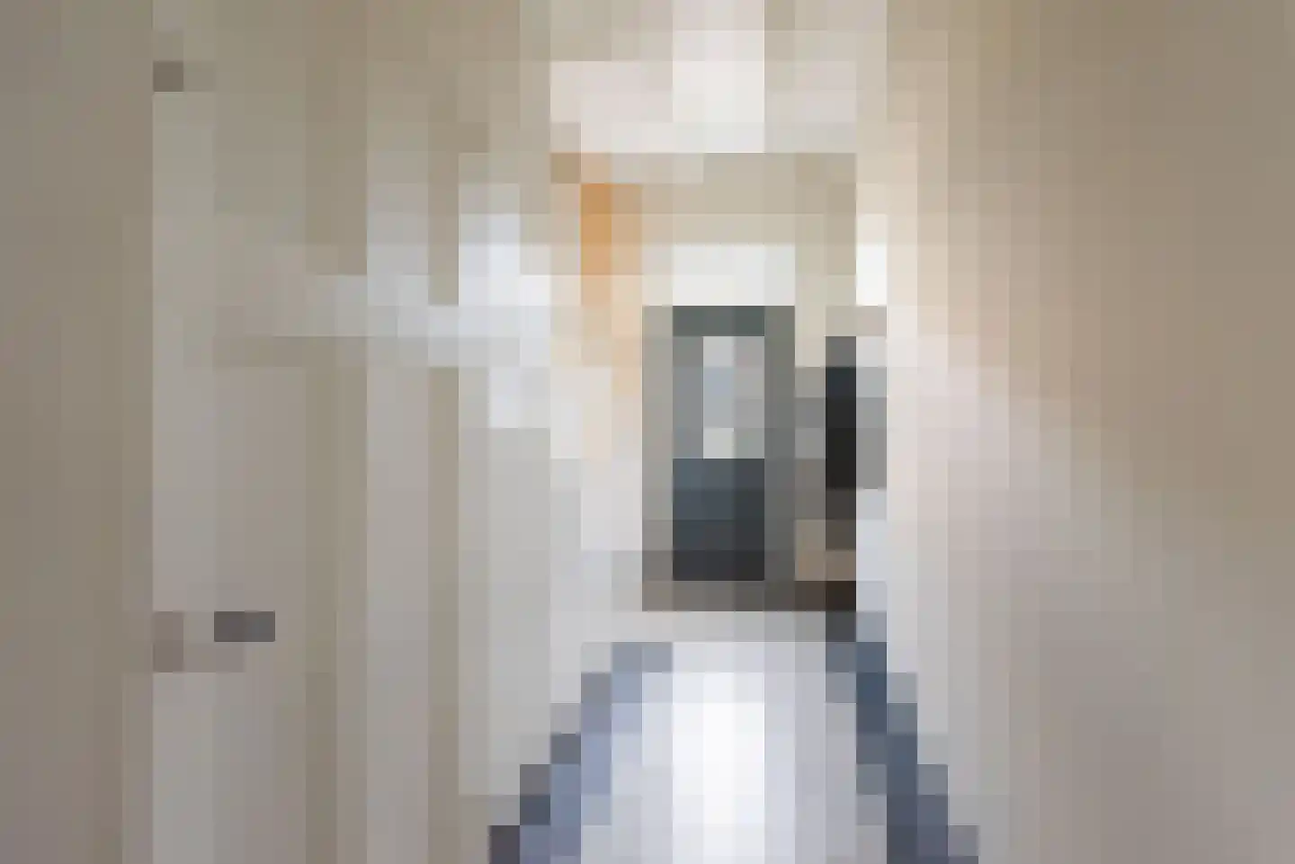Hollandseweg 3 Megchelen thumbnail 9