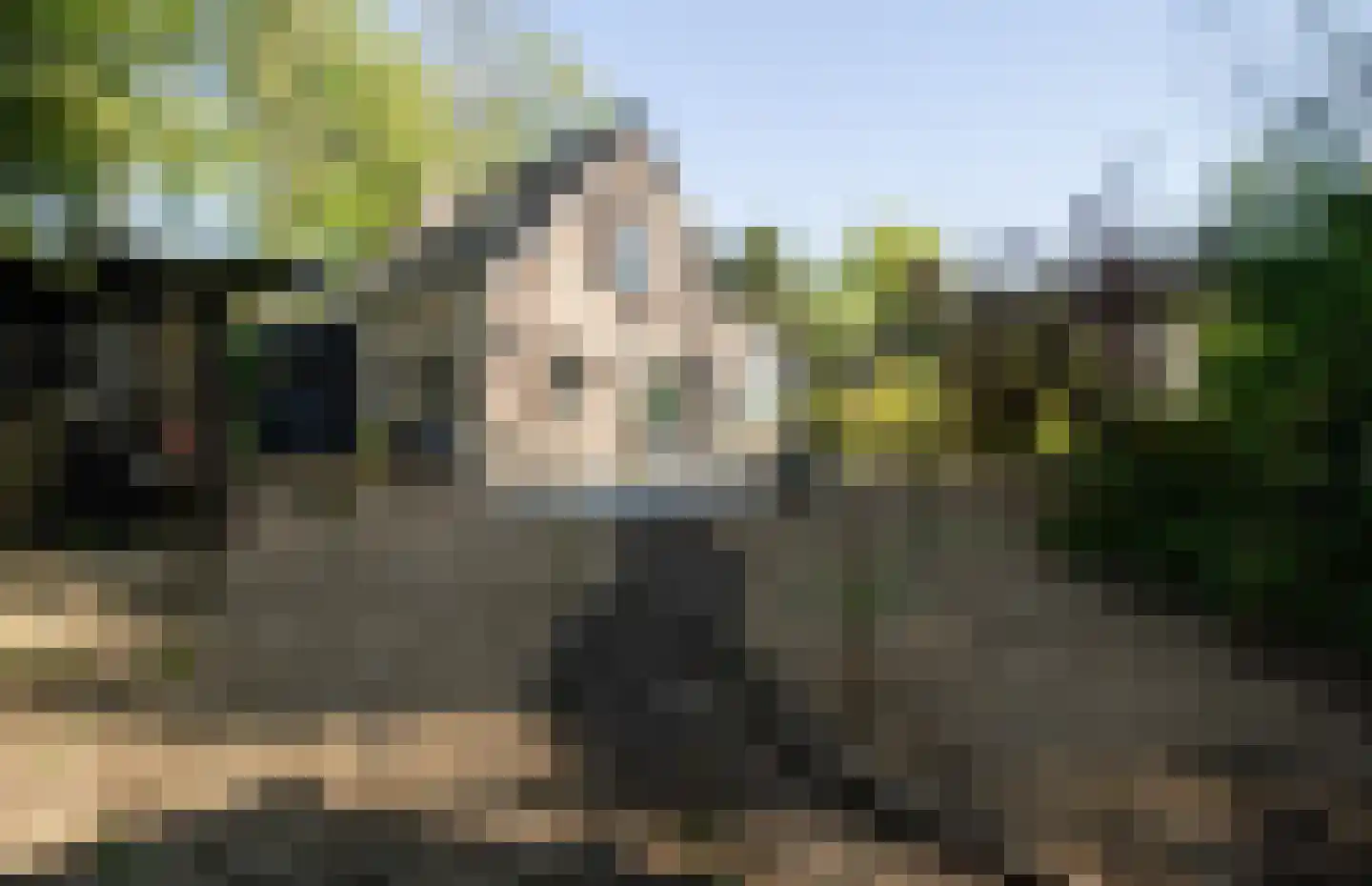 Hollandseweg 30 Huijbergen thumbnail 17