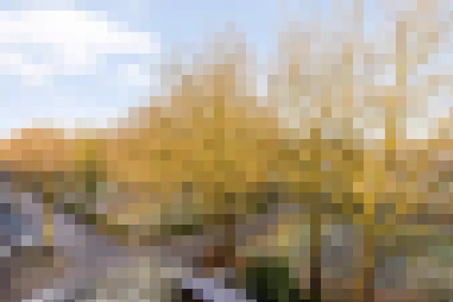 Hollandseweg 308 Wageningen thumbnail 31