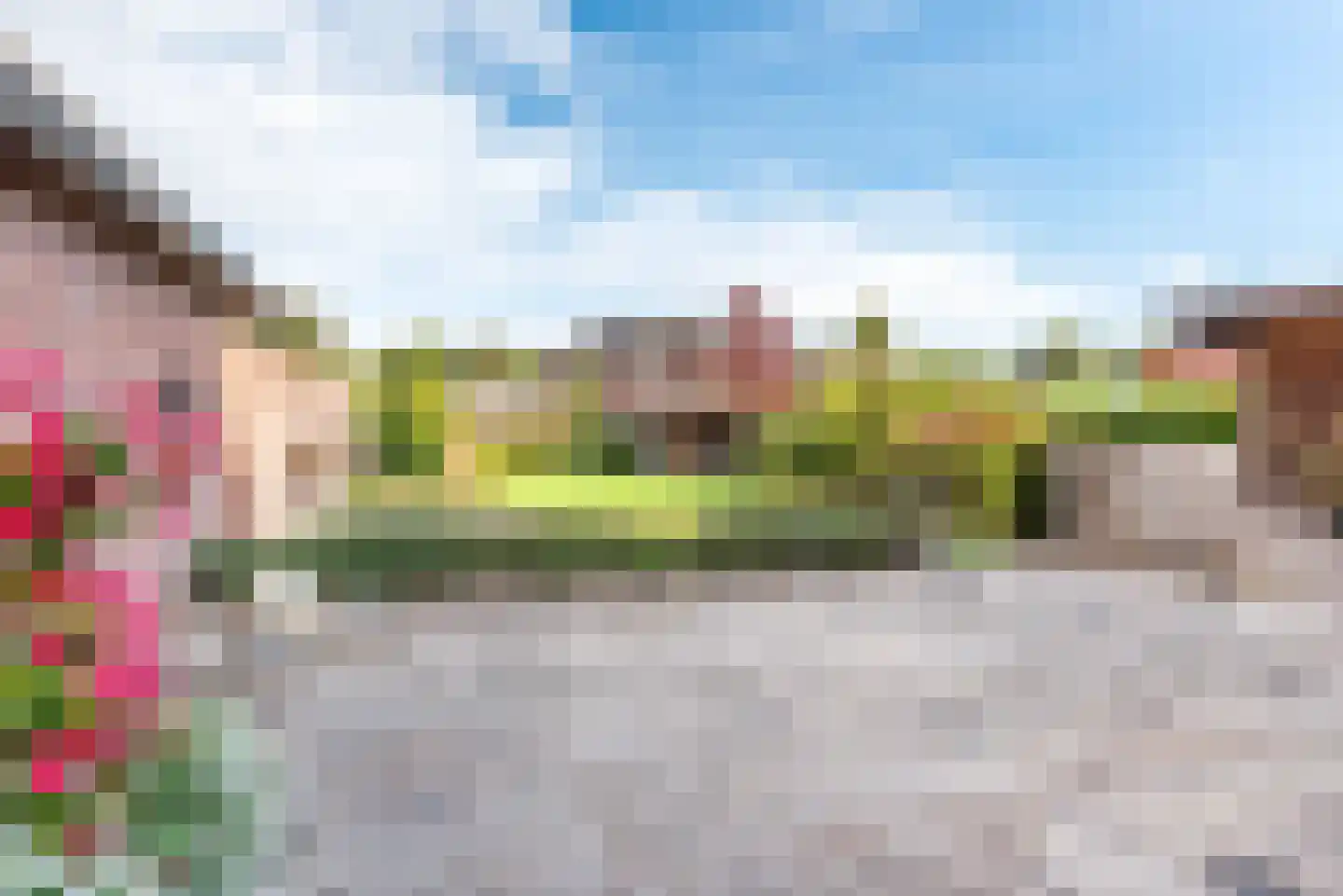 Hollandseweg 32 Megchelen thumbnail 40