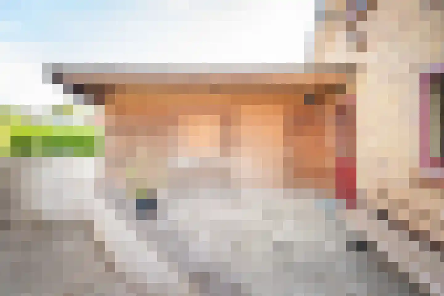 Hollandseweg 32 Megchelen thumbnail 42
