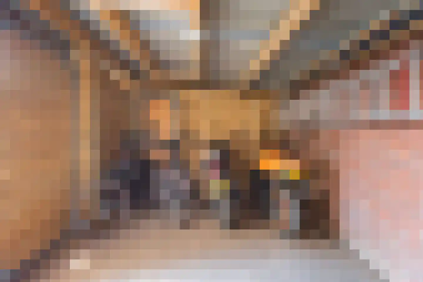 Hollandseweg 32 Megchelen thumbnail 43