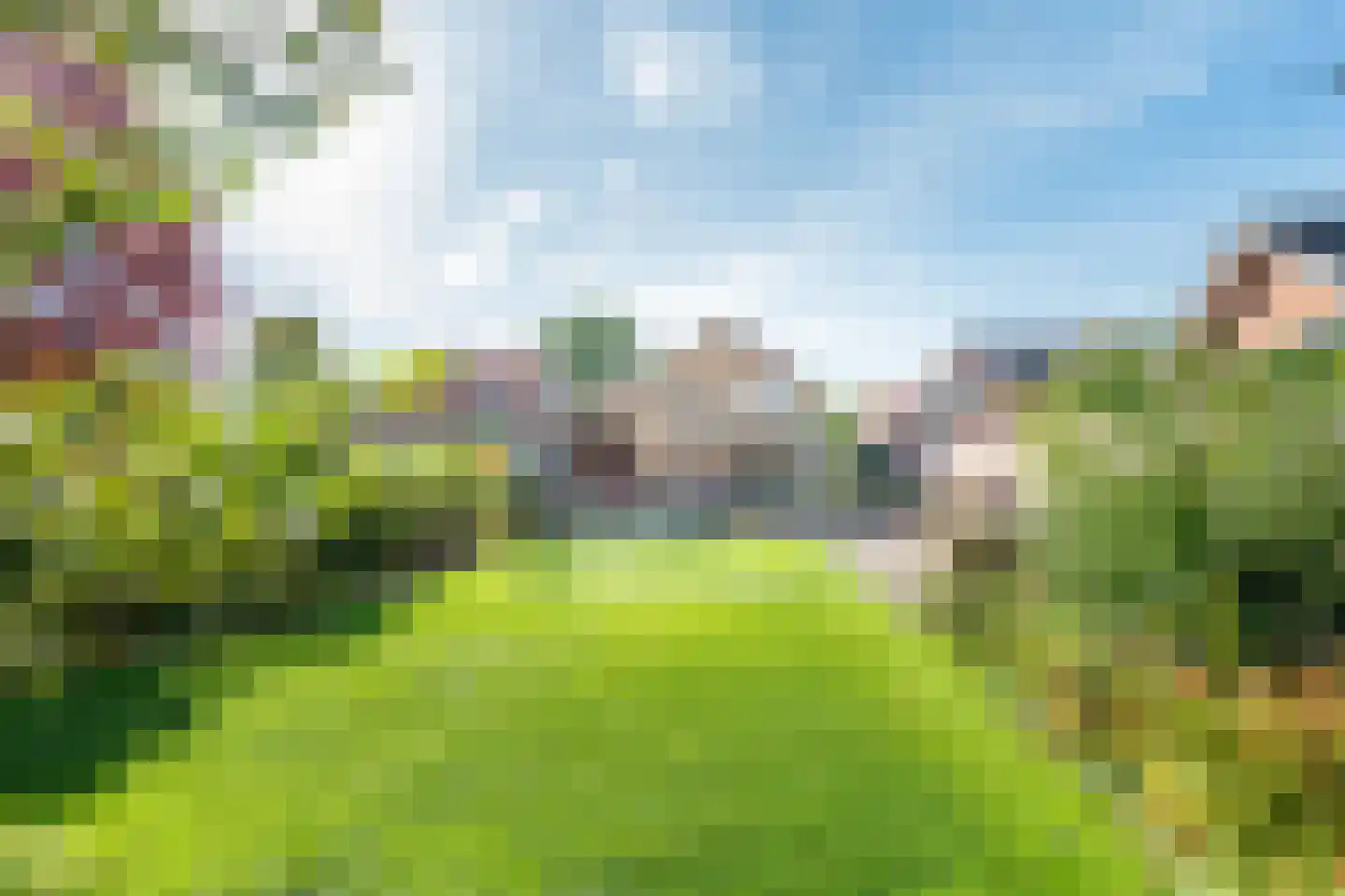 Hollandseweg 32 Megchelen thumbnail 5
