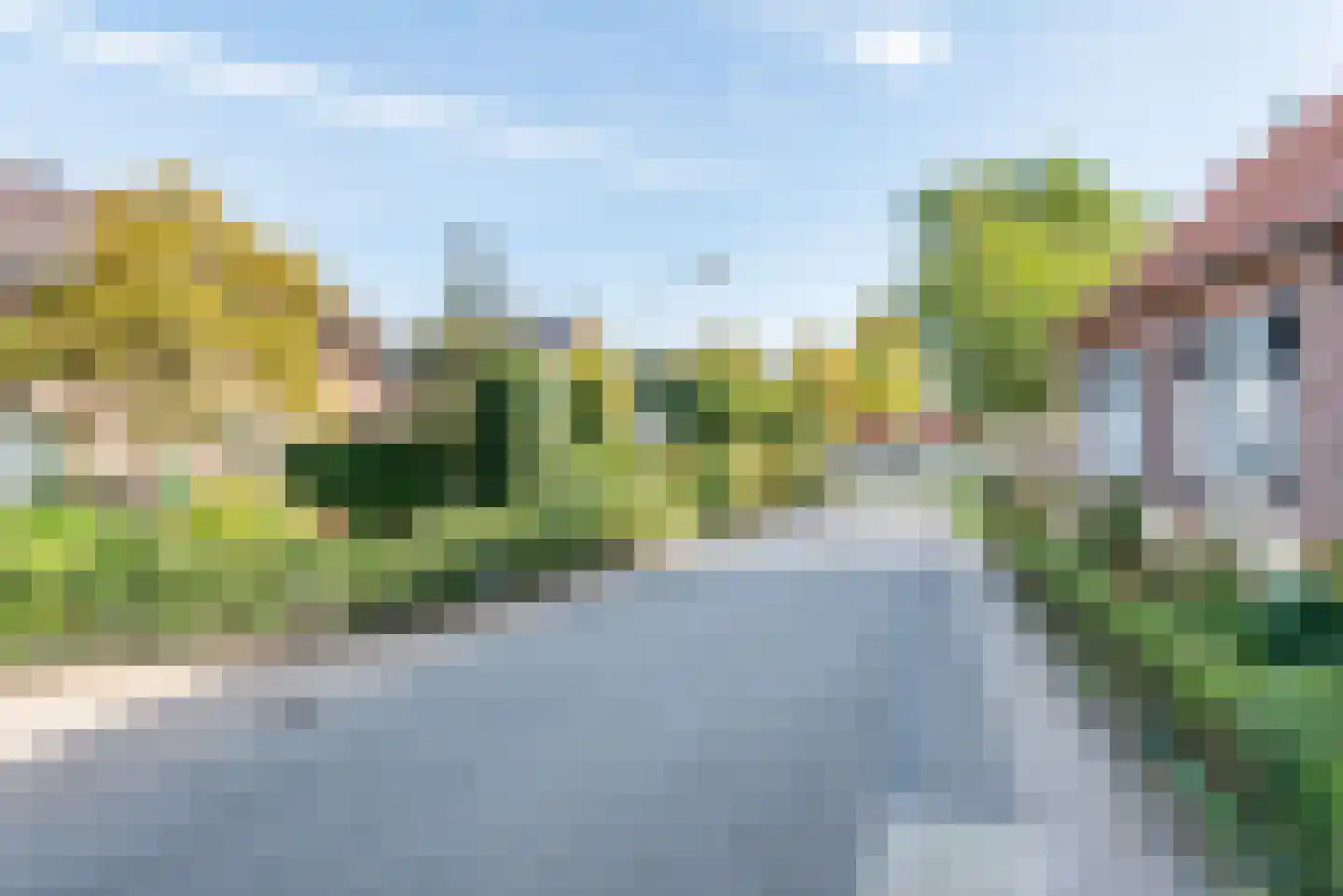 Hollandseweg 32 Megchelen thumbnail 50