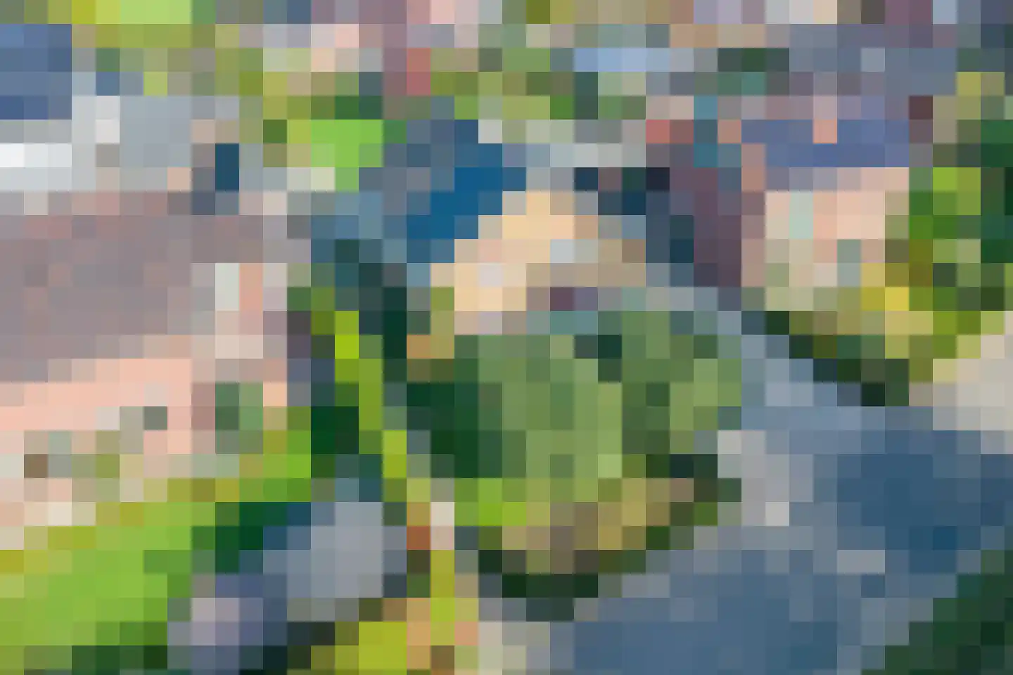 Hollandseweg 32 Megchelen thumbnail 6
