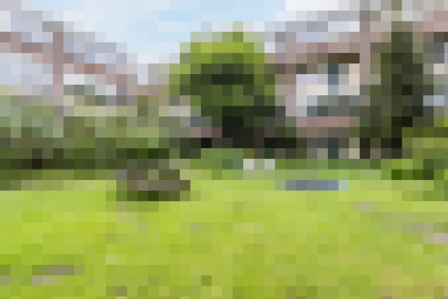 Hollandseweg 52 Wageningen thumbnail 62