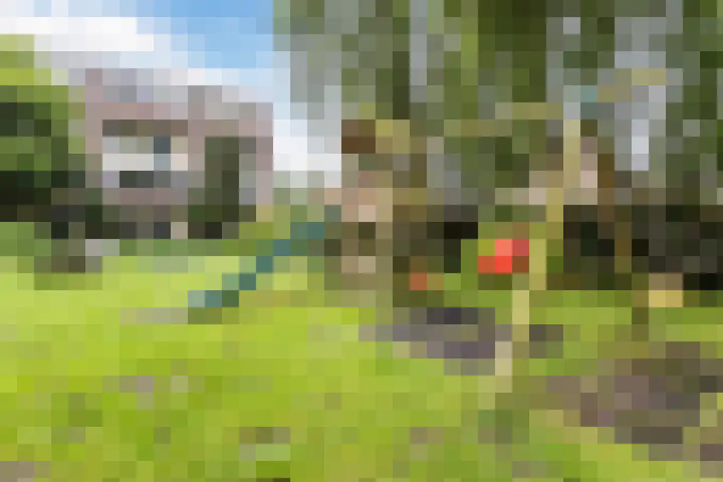Hollandseweg 52 Wageningen thumbnail 63