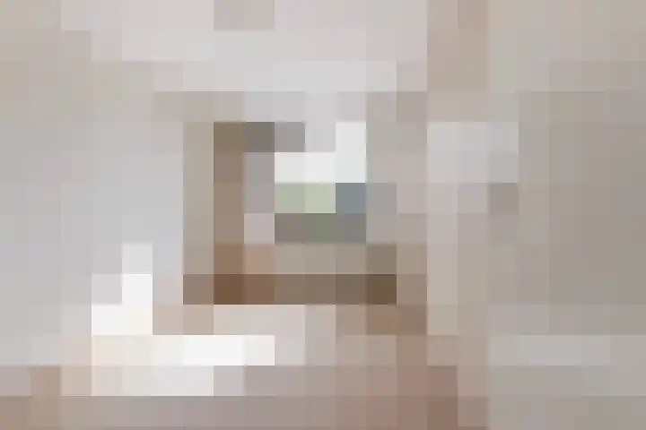 Hollandsingel 25 Waalwijk thumbnail 17