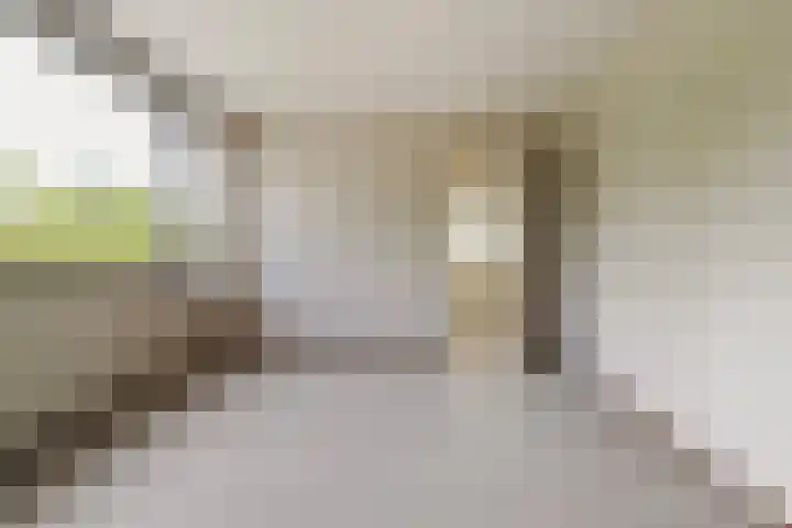 Hollandsingel 25 Waalwijk thumbnail 18