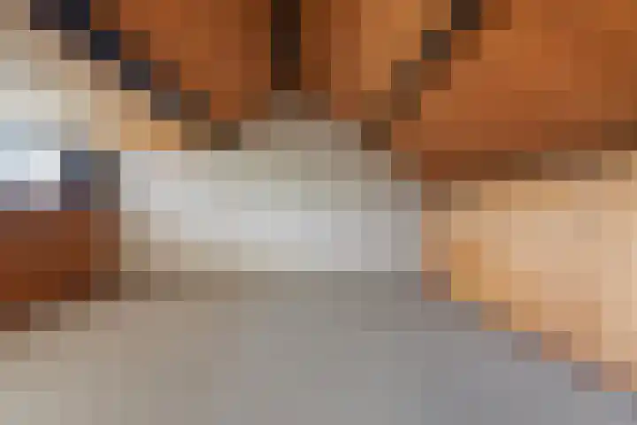 Hollandsingel 25 Waalwijk thumbnail 23