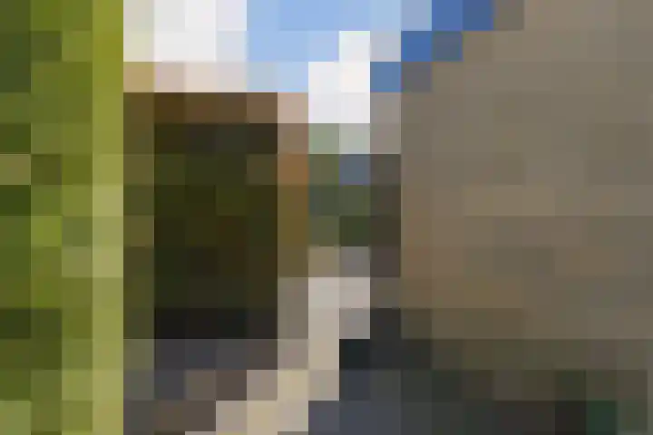 Hollandsingel 25 Waalwijk thumbnail 28