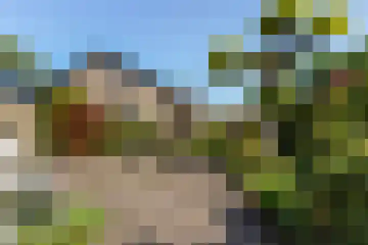 Hollandsingel 25 Waalwijk thumbnail 31