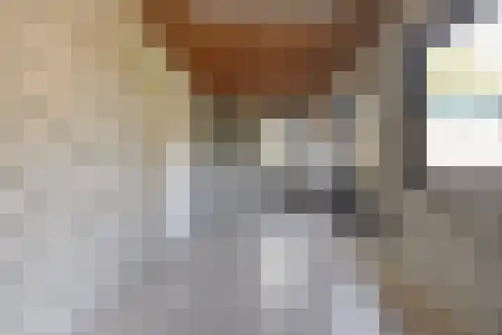 Hollandsingel 25 Waalwijk thumbnail 34