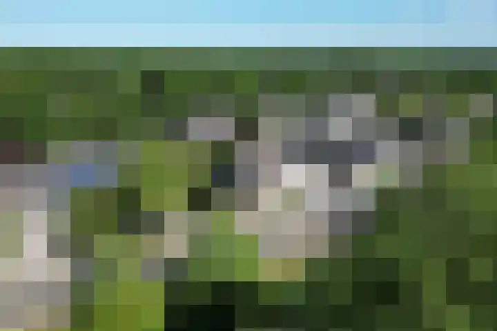 Hollandsingel 25 Waalwijk thumbnail 37