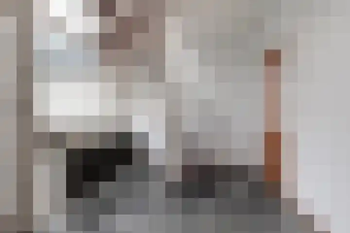 Hollandsingel 25 Waalwijk thumbnail 6