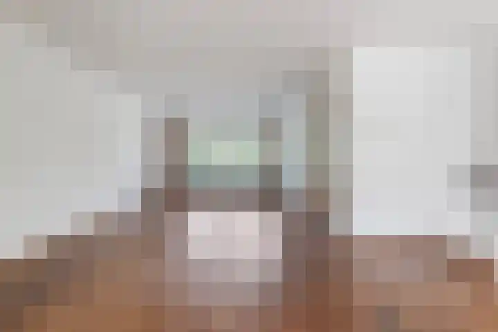 Hollandsingel 25 Waalwijk thumbnail 7