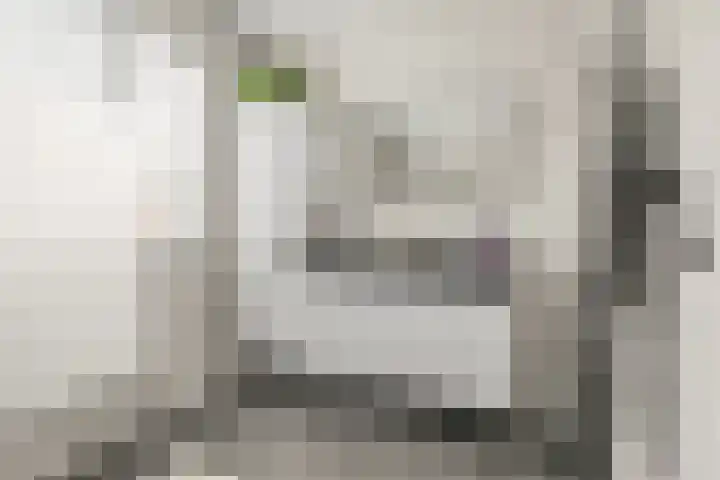 Hollandsspoor 38 Houten thumbnail 21