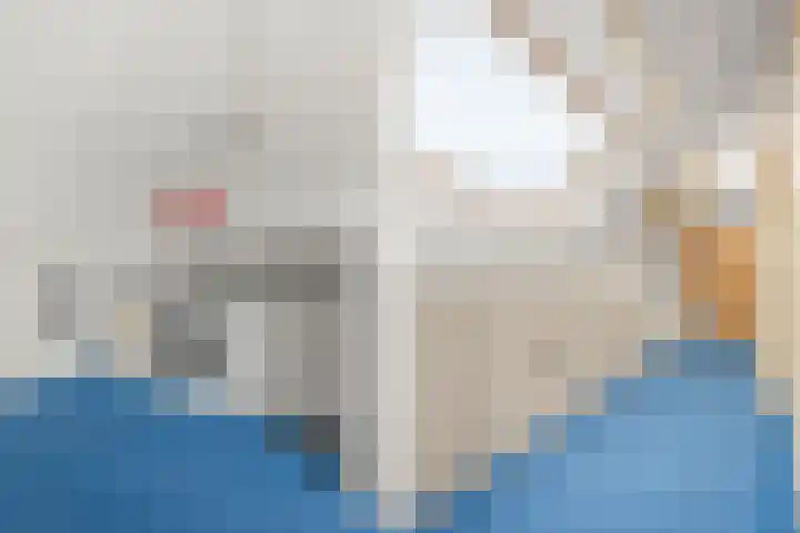 Hollandsspoor 38 Houten thumbnail 28