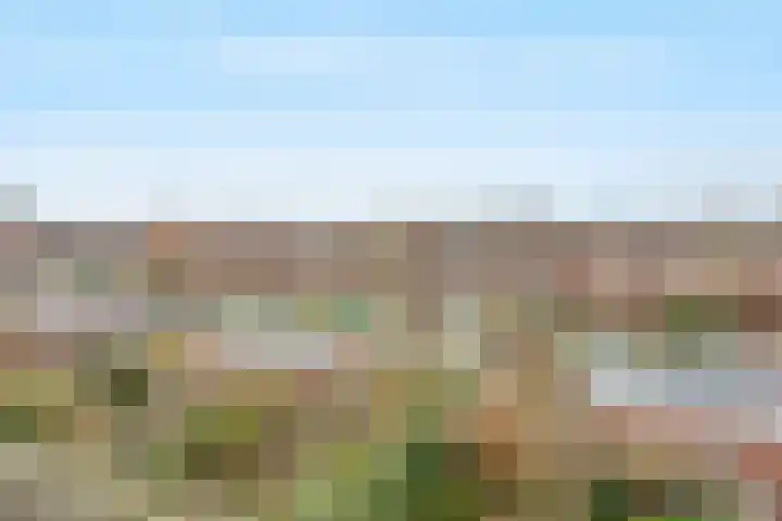 Hollandsspoor 38 Houten thumbnail 29