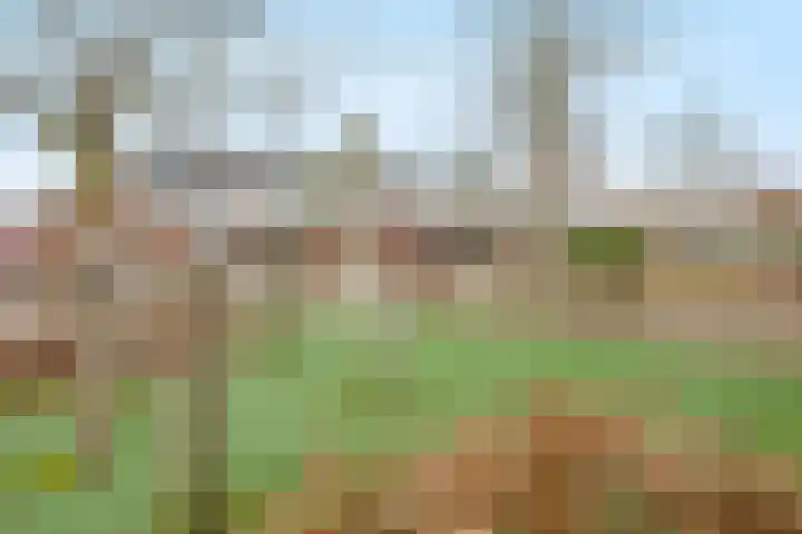 Hollandsspoor 38 Houten thumbnail 30