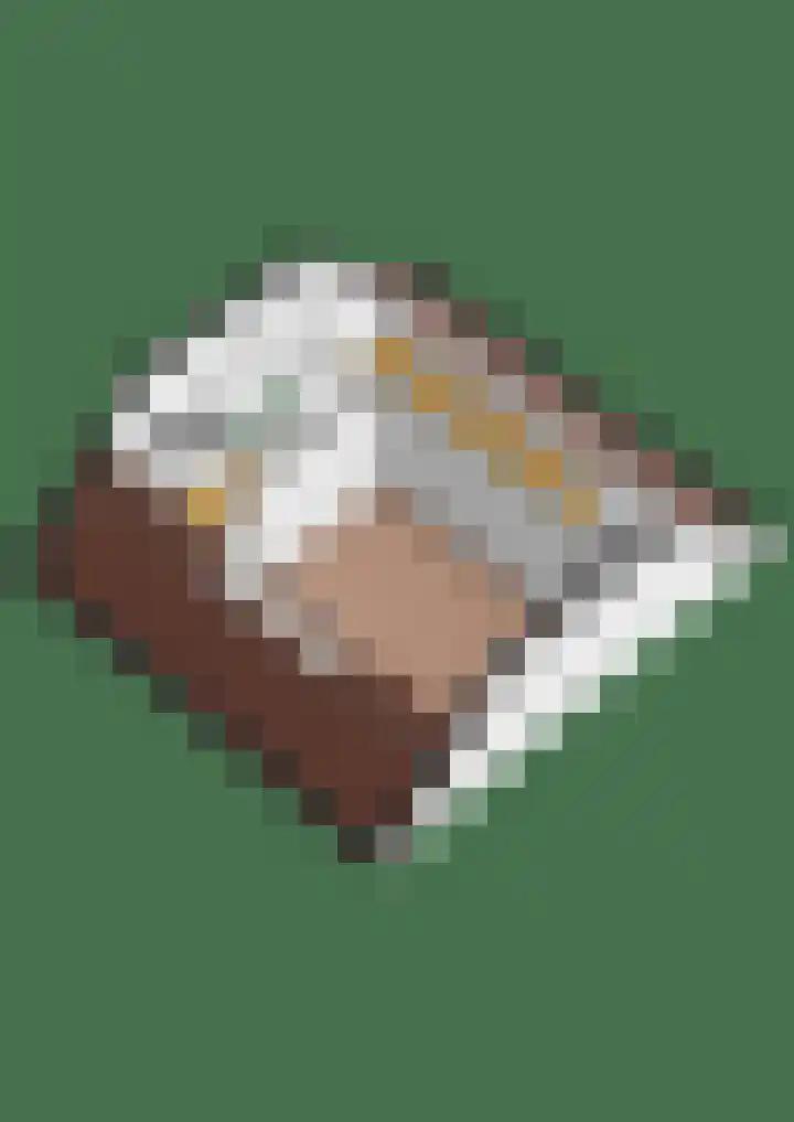 Hollandsspoor 38 Houten thumbnail 44