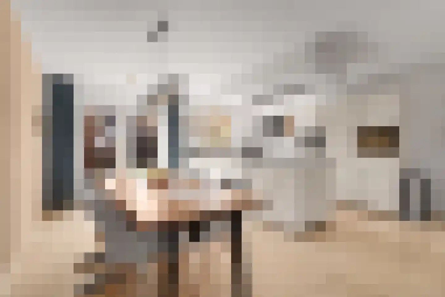 Hollandsspoor 8 Houten thumbnail 11