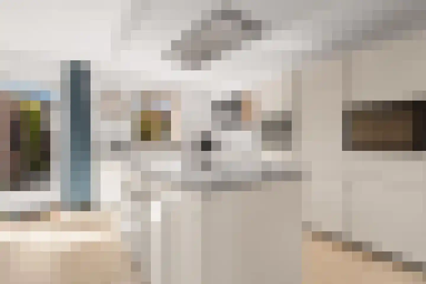 Hollandsspoor 8 Houten thumbnail 12