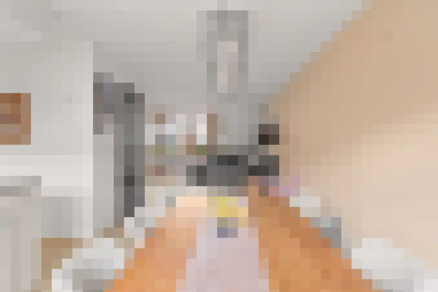 Hollandsspoor 8 Houten thumbnail 14