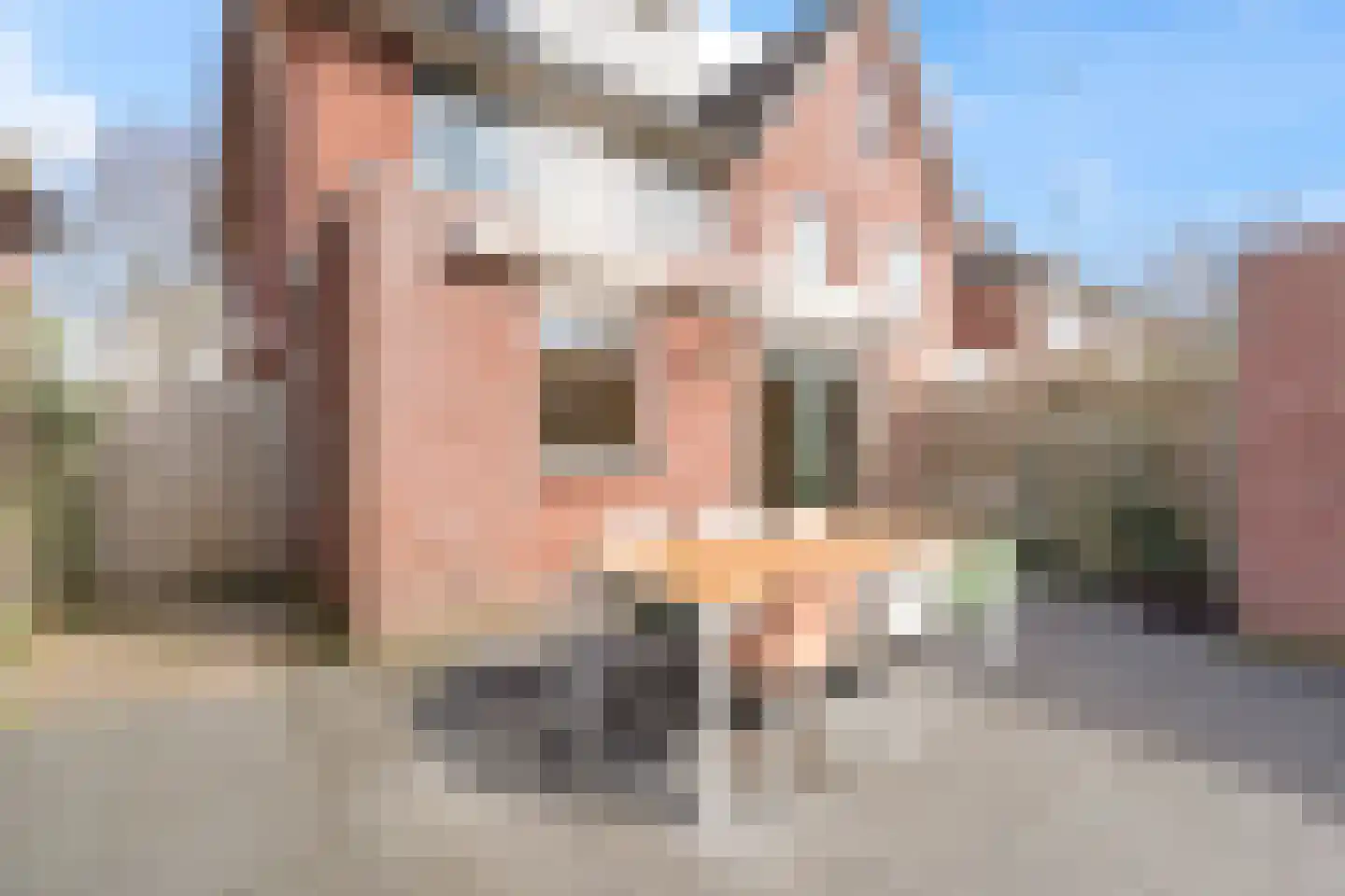 Hollandsspoor 8 Houten thumbnail 19